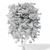 Polys: 1,011,193 - Towering 15m Beech Tree 3D model small image 5