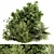 Exotic Bush Collection: Tropical & Box Tree - Set 52 3D model small image 1