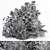 Exotic Bush Collection: Tropical & Box Tree - Set 52 3D model small image 5