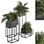 326 Indoor Plant Set - Black Box 3D model small image 2