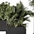 326 Indoor Plant Set - Black Box 3D model small image 5