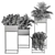 326 Indoor Plant Set - Black Box 3D model small image 6