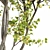 Saccharinum Tree Pack: Spring-Summer-Fall 3D model small image 2