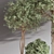 Elegant Indoor Set Plant 3D model small image 6