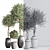 Elegant Indoor Set Plant 3D model small image 7