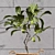 Premium Indoor Fiddle Leaf Fig - 3D Plant Model 3D model small image 4