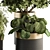 Modern Indoor Plant Set 3D model small image 4