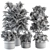 Modern Indoor Plant Set 3D model small image 7