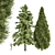Alaskan Cedar & Rocky Mtn. Juniper - 3D Tree Models 3D model small image 1