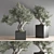 Indoor Bonsai Set: Zen Collection 3D model small image 2