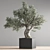 Indoor Bonsai Set: Zen Collection 3D model small image 3