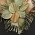 Eco Wall Décor: Vertical Garden Bouquet 3D model small image 5