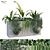 Exquisite Plant Box Set 230 3D model small image 1