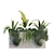 Exquisite Plant Box Set 230 3D model small image 4