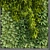 Greenwall Vertical Plant Set 3D model small image 4