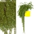 Sunny Garden Box: Outdoor Plant Vol 01 3D model small image 3