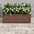 Outdoor Plant Set 001 - Premium Plant Box 3D model small image 4