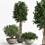 Tropical Oasis Indoor Plant Set 3D model small image 3