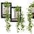 Rustic Concrete Pot with Indoor Hanging Plants Set 3D model small image 2