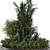 Outdoor Garden Set 360: Bush & Tree 3D model small image 2