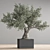 28-Piece Indoor Bonsai Plant Set 3D model small image 3