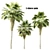 Elegant Trio of Chinese Palms 3D model small image 1