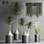 Indoor Plant Collection - Set of 12 3D model small image 1