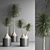 Indoor Plant Collection - Set of 12 3D model small image 3