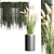 Indoor Plant Collection - Set of 12 3D model small image 8