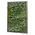 Elevated Greenery Set 3D model small image 4