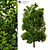 Exterior Landscape Tree - 17m Height 3D model small image 1