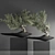 Zen Bonsai Indoor Plant Set 3D model small image 3