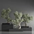 Zen Bonsai Indoor Plant Set 3D model small image 4