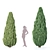 Northern Juniper Trees Collection 3D model small image 3