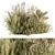 Pampas Bush Set 54: Dried & Fresh 3D model small image 1