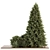 Evergreen Garden Set: Pine Tree & Bush 3D model small image 1