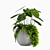 Tropical Plant Vase Set 3D model small image 3