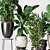 Five Plant Collection - Indoor/outdoor Ornamental Plants 3D model small image 2