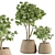 333 Indoor Plant Set: Tree & Plant in Mat Pot 3D model small image 1