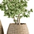 333 Indoor Plant Set: Tree & Plant in Mat Pot 3D model small image 4