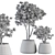 333 Indoor Plant Set: Tree & Plant in Mat Pot 3D model small image 5