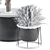 Frosted Outdoor Plant Set 3D model small image 2