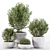 4 Pot Rosemary: Healthy & Fragrant Herb 3D model small image 1