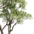 Oak Tree 3D Models | Closeup-Optimized 3D model small image 2
