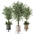 Artificial Indoor Plants Set with Ferm Living Bau Pot 3D model small image 1