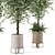 Artificial Indoor Plants Set with Ferm Living Bau Pot 3D model small image 3