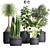 Indoor Plant Collection: 13 Varieties 3D model small image 1