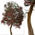 Manuka Tree: Native Beauty for Your Garden 3D model small image 6