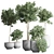 Indoor Plant Collection 13: Elegant Greenery for your Home 3D model small image 3