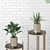 Golden Vase Indoor Plant Set 3D model small image 2